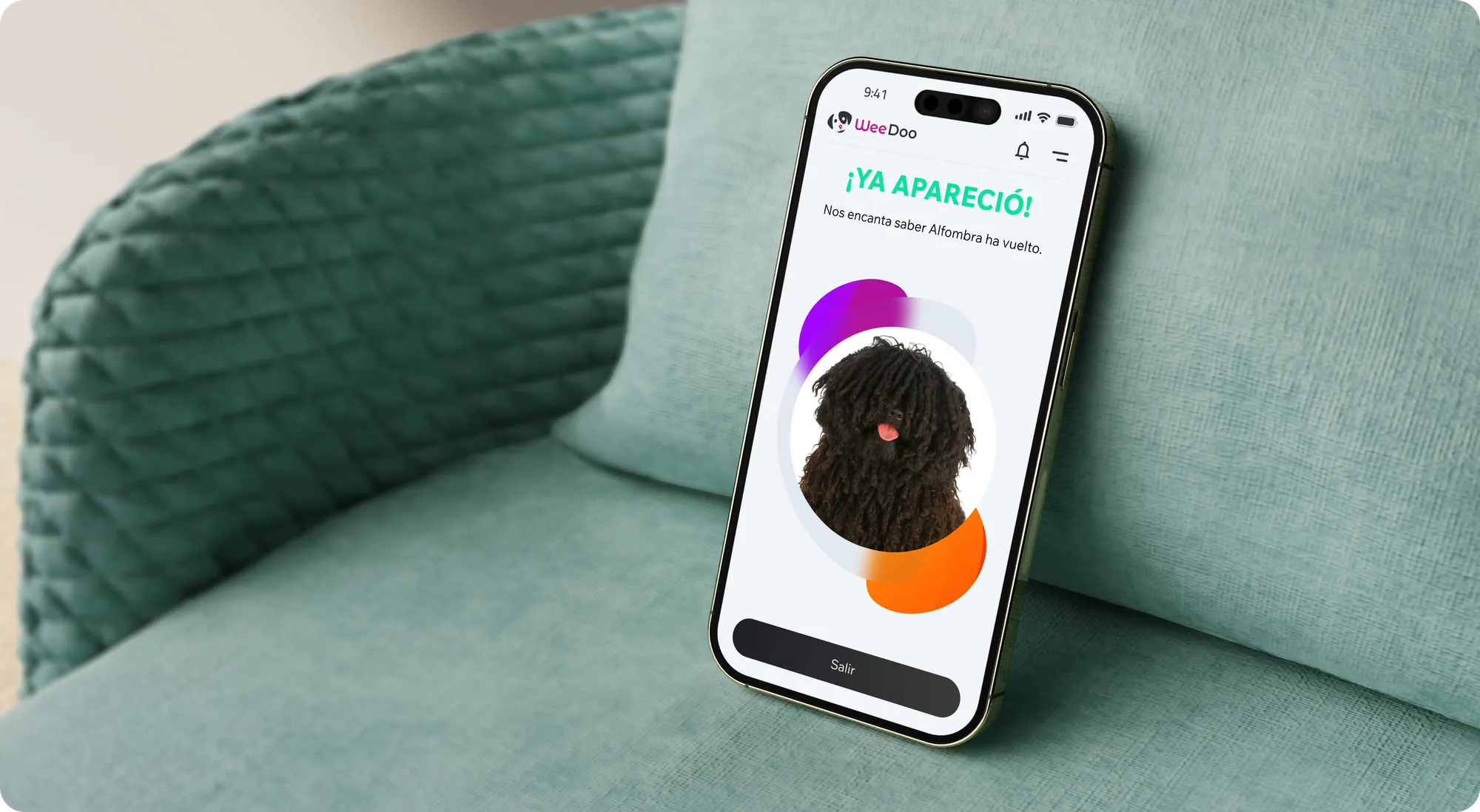 Phone on a green armchair showing the alert: ¡Ya apareció! — your pet has been found